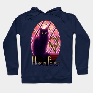 Binx the Cat Hoodie